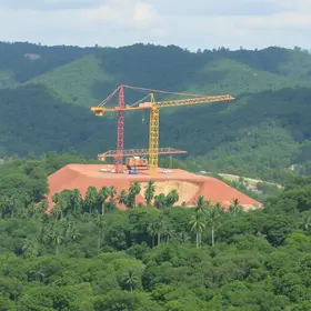 supressão de árvores